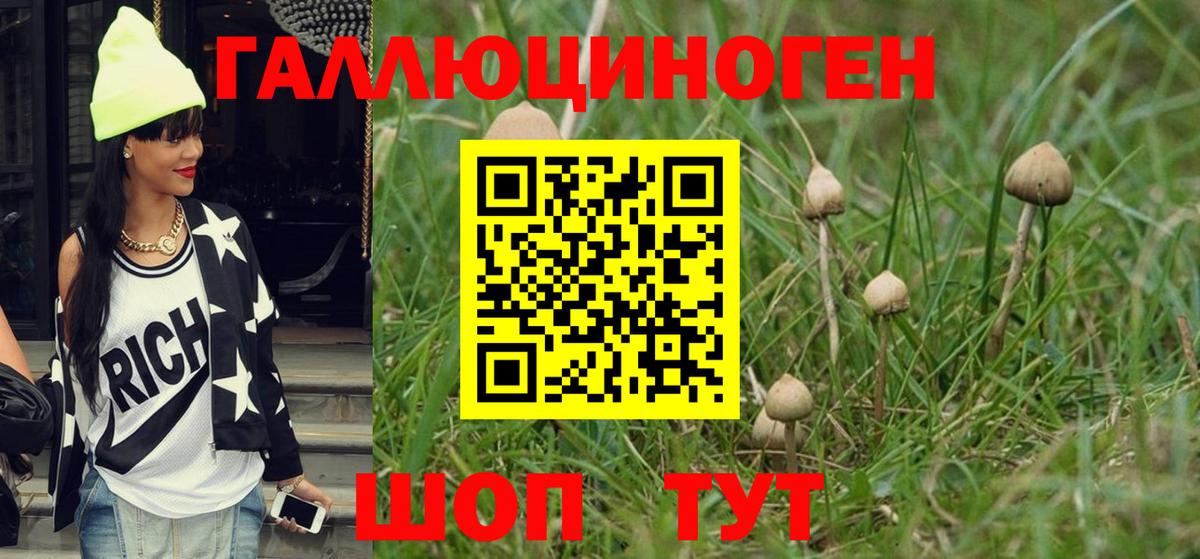 Воронеж  Псилоцибиновые грибы прущие грибы  Псилоцибиновые грибы GOLDEN TEACHER  Вход с VPN 